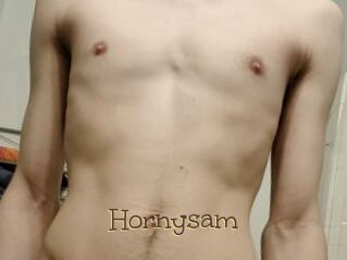 hornysam Porno FR