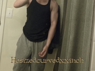 hosizedcurvedxxinch Porno FR