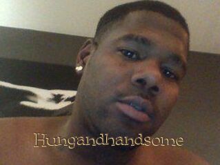 Hungandhandsome