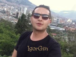 IgorGin