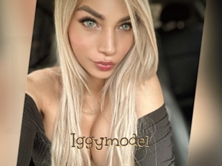 Iggymodel