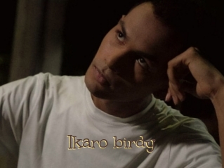 Ikaro_birdy