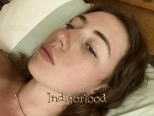 Indigoflood