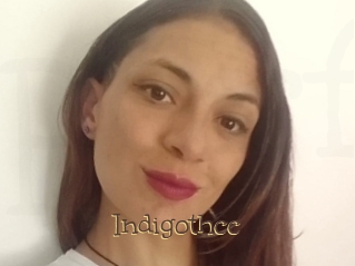indigothcc Porno FR