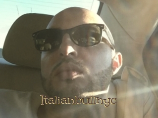 Italianbullnyc