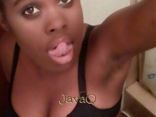 JavaQ