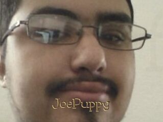 JoePuppy