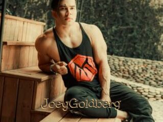 JoeyGoldberg