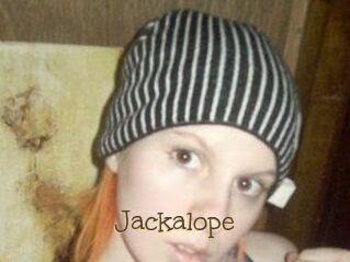 Jackalope
