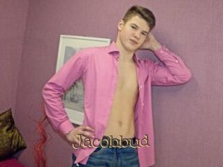 Jacobbud