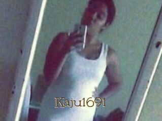 Kaju1691