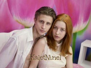KaletNinel