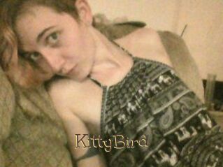 KittyBird