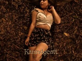 Kanndycatt