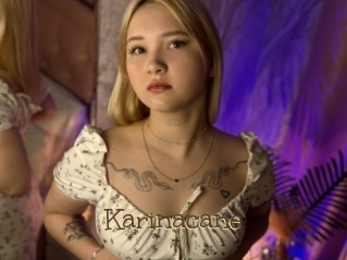 Karinacane