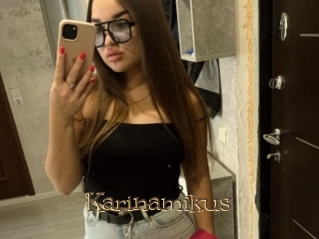 Karinamikus