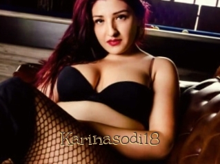 Karinasodi18