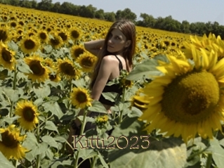 Kitti2023