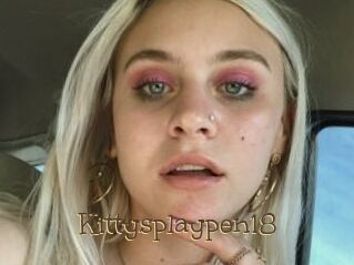 Kittysplaypen18