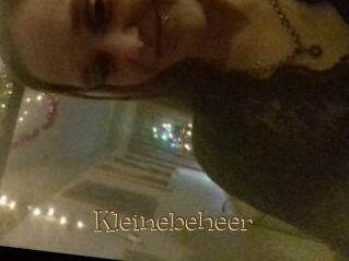 Kleinebeheer