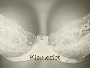 Kleineslet