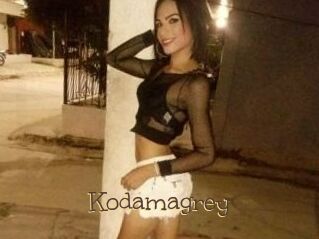 Kodamagrey
