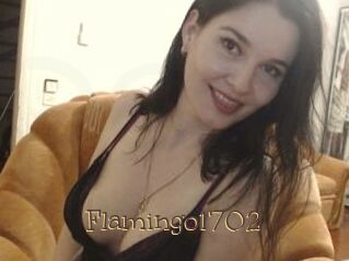 Flamingo1702