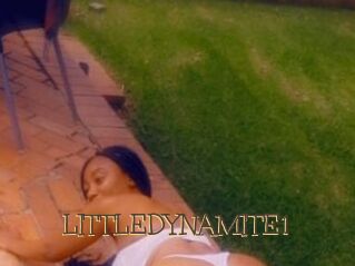 LITTLEDYNAMITE1