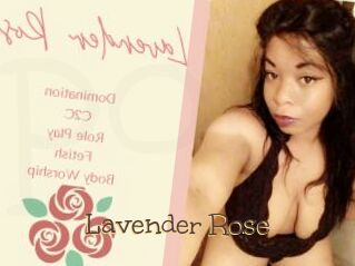 Lavender_Rose