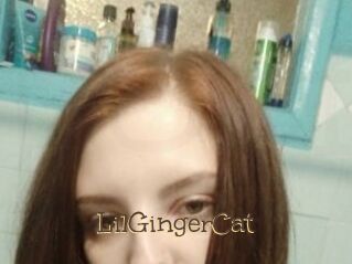 LilGingerCat