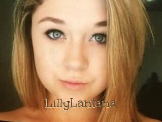LillyLantana
