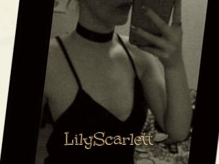 Lily_Scarlett