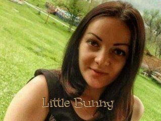 Little_Bunny_