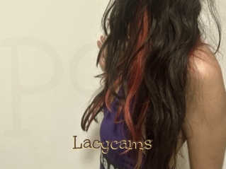 Lacycams
