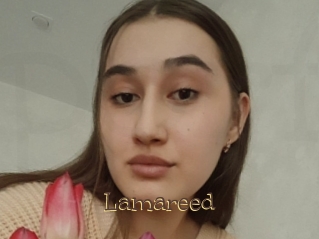 Lamareed
