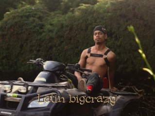 Latin_bigcrazy