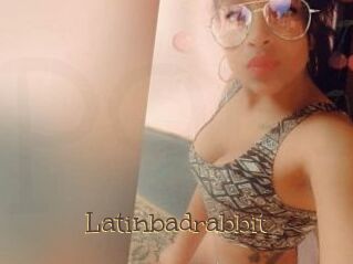 Latinbadrabbit