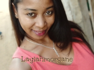 Laylahmorgane
