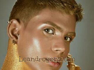 Leandrogonzlezh