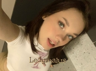 Ledymalus