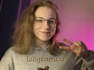 Lillybambus