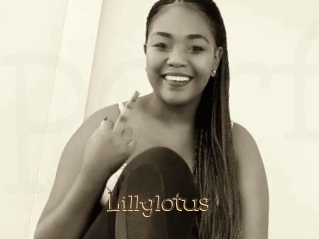 Lillylotus
