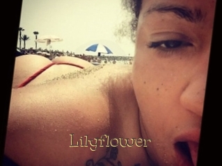 lilyflower Porno FR