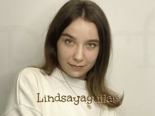 Lindsayaguilar