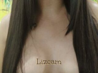 Lizcam