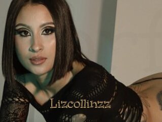 Lizcollinzz
