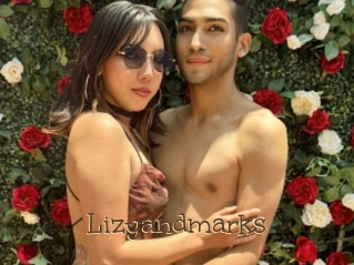 Lizyandmarks