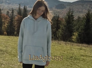 Lladybugg