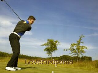 Lovebirdpenis