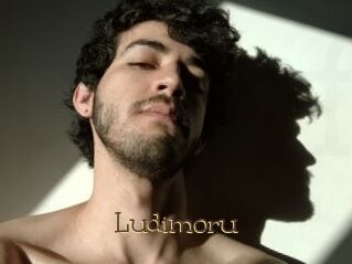 ludimoru Porno FR